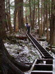The beginning of the climb
