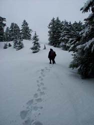 Climbing into the snow