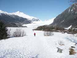 Mendenhall Glacier, Juneau