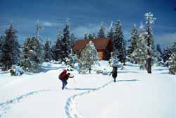 Snowshoeing through the drifts