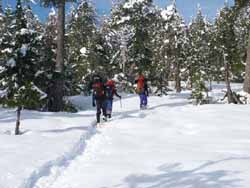 Snowshoeing through the drifts
