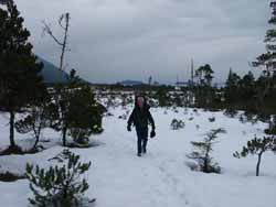Ravens Roost Trail start