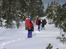 On the trail between John Muir and Peterson Lake
